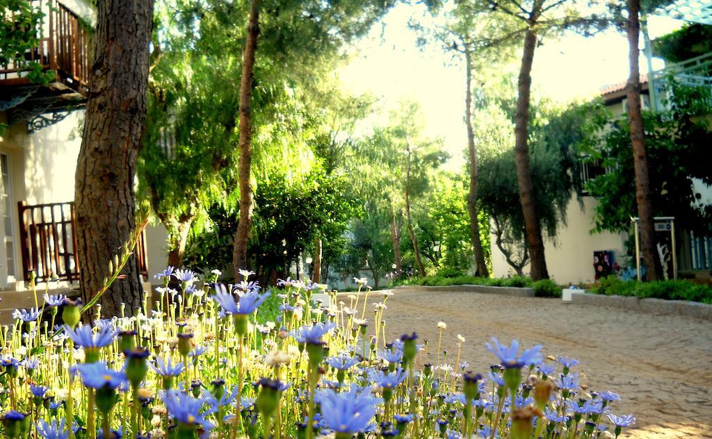Teos Village Сеферихисар Экстерьер фото
